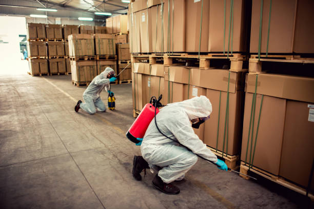 Best Commercial Pest Control Services  in Holly Lake Ranch, TX