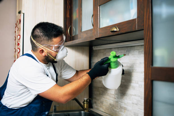 Pest Prevention Services in Holly Lake Ranch, TX