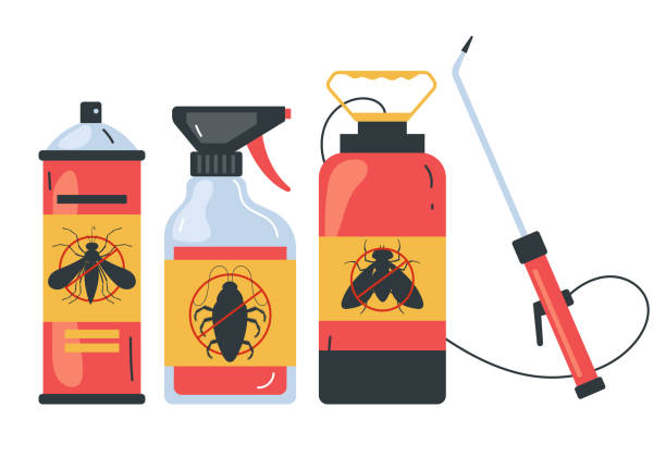 Best Affordable Pest Control Services  in Holly Lake Ranch, TX