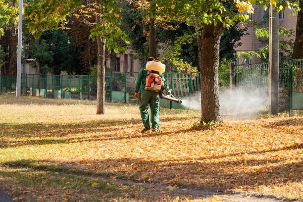 Best Wildlife Control Services  in Holly Lake Ranch, TX